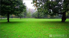 我國園林綠化苗木產業(yè)三大趨勢與八大特色